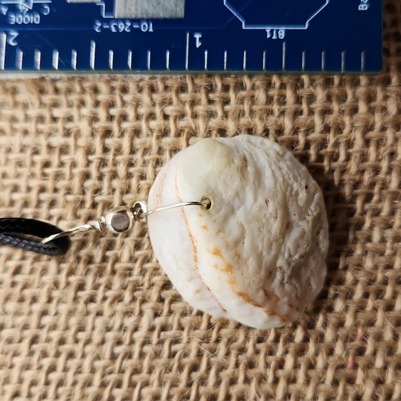 Hand Crafted Silver Sea Shell in a Sea Shell Necklace Wire wrapped #44 - Picture 2 of 3